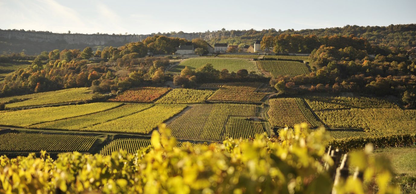 Domaine Pascal Prunier-Bonheur